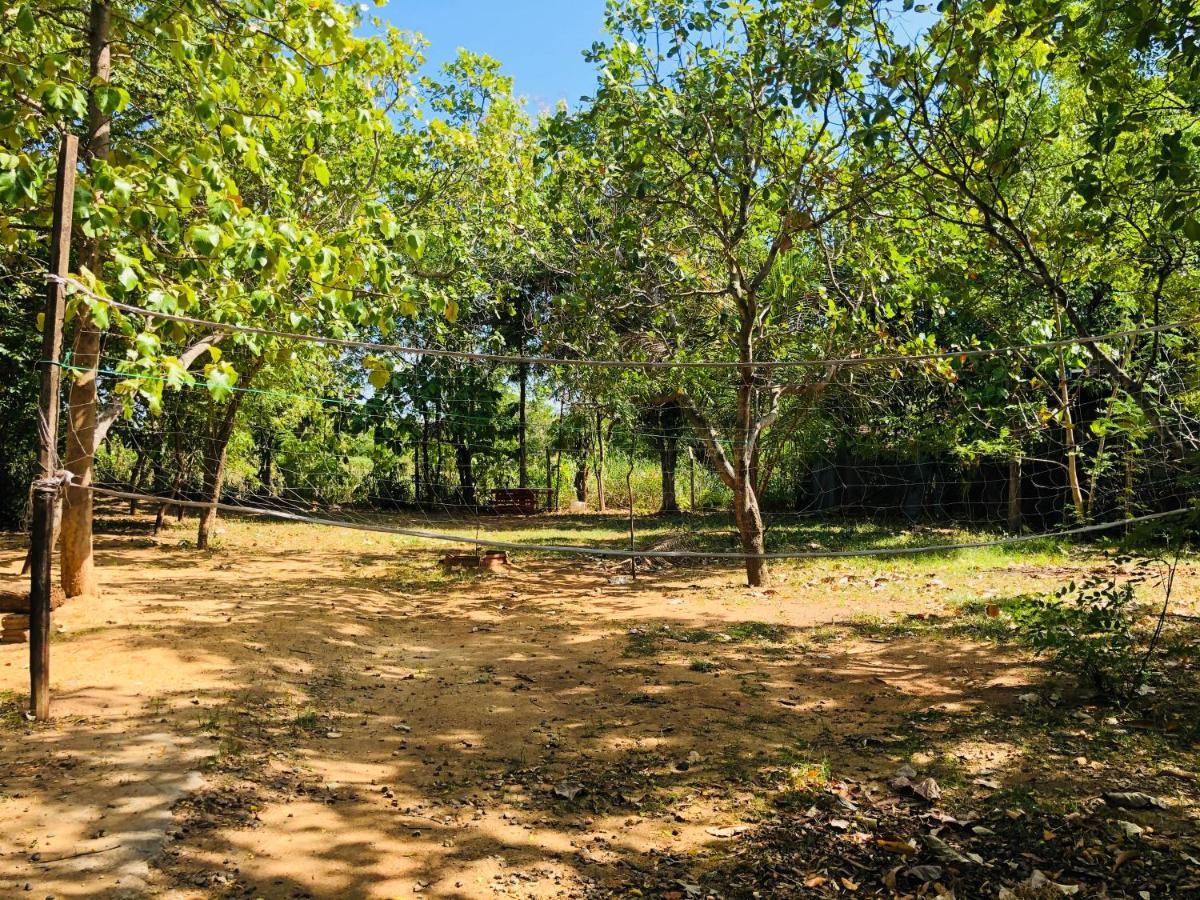 Dambulla City Hostel Buitenkant foto
